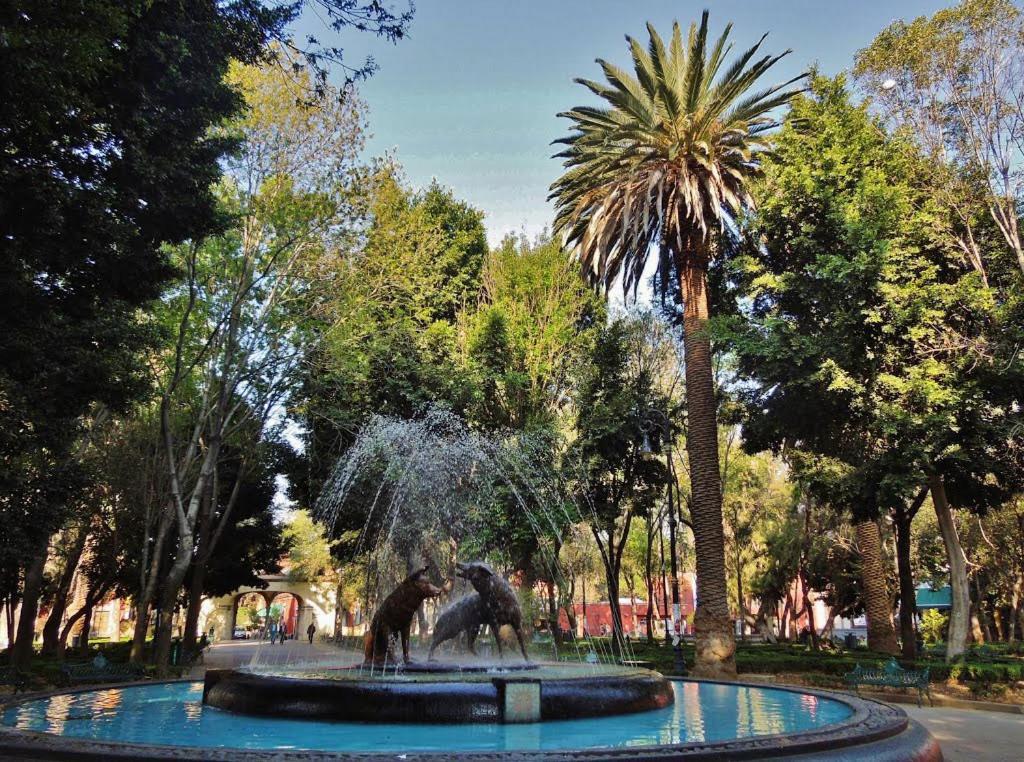 Artisanal Loft Coyoacan Apartment Mexico City