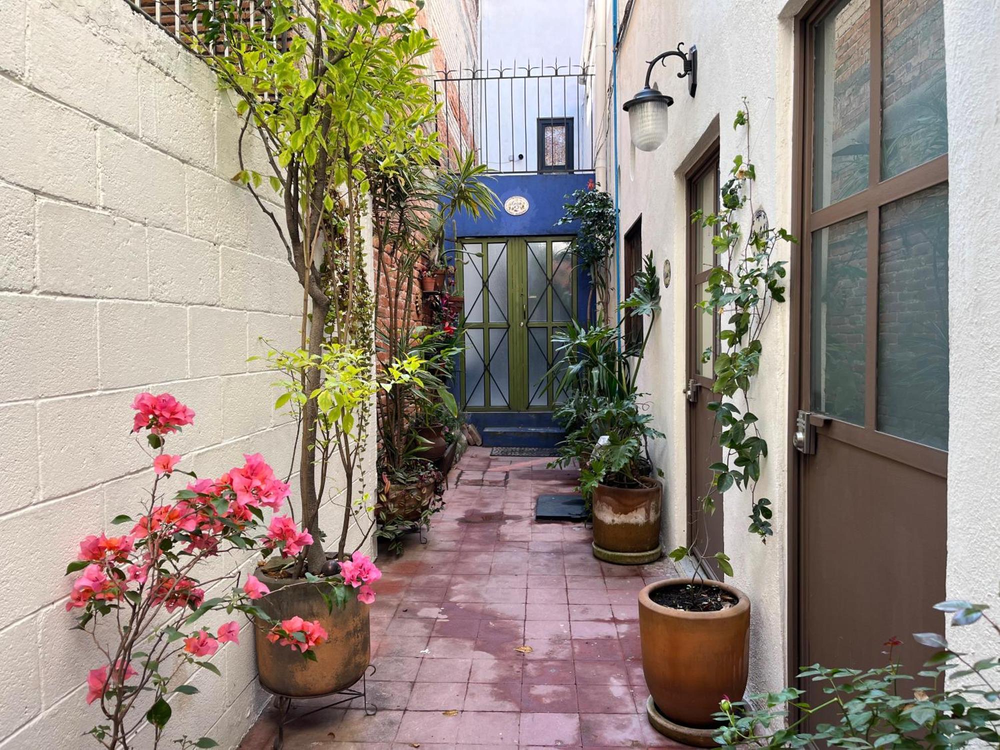 Artisanal Loft Coyoacan Mexico City